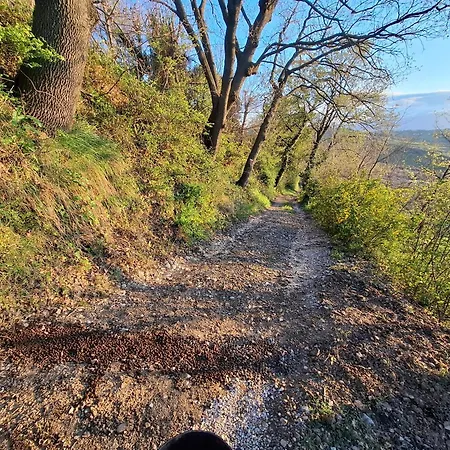 Apartment Casa L'oliveto *