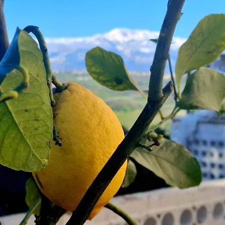Casa L'oliveto * لانشانو
