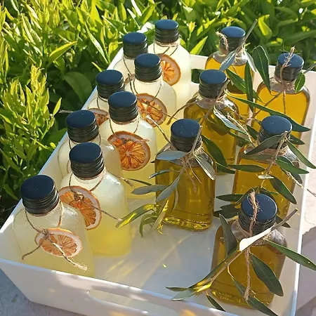 Casa L'oliveto * Lanciano