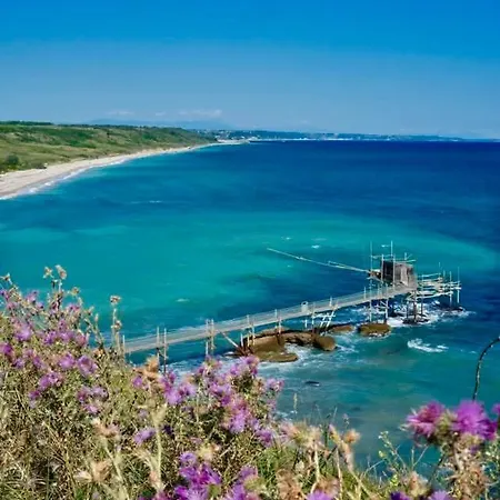 Casa L'oliveto Apartment