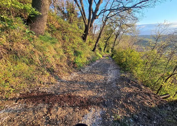 Apartment Casa L'oliveto *