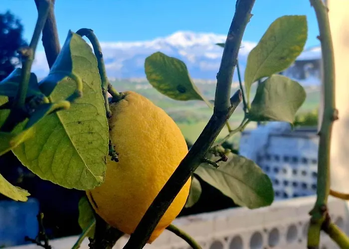 Casa L'oliveto * Λαντσιάνο