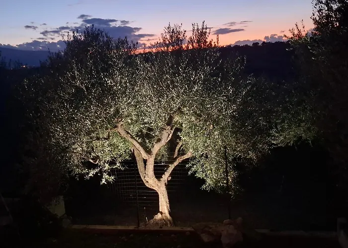 Casa L'oliveto ランチャーノ