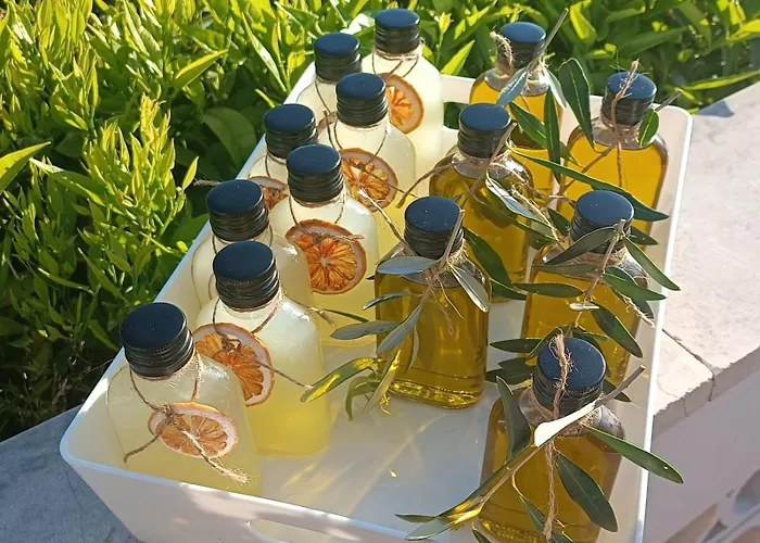 Casa L'oliveto * Λαντσιάνο