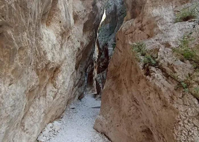 Casa L'oliveto * Λαντσιάνο